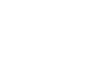 International Air Transport Association