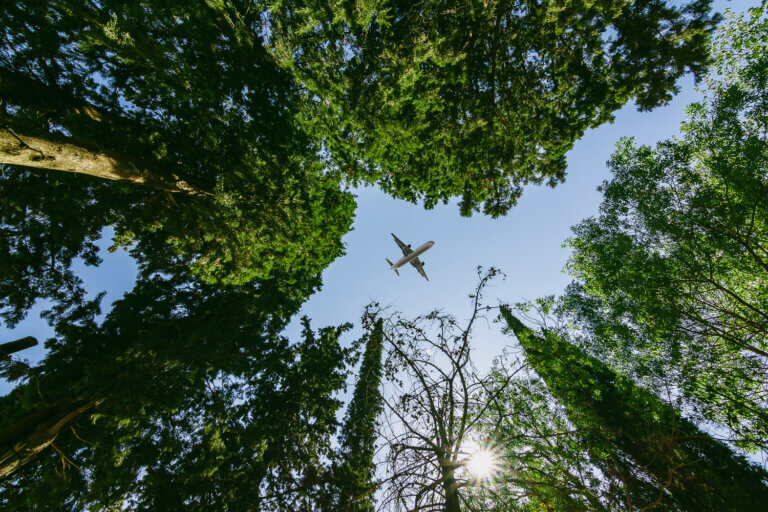 Sustainability - Midas Travel Management - Midas Travel Management Sustainable business travel programmes