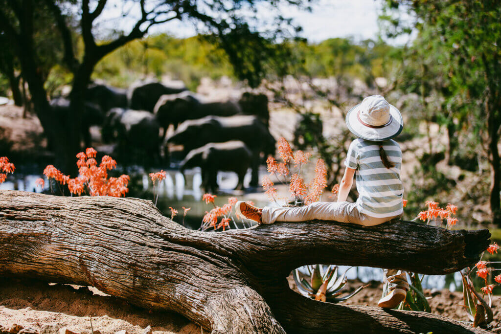 family safaris