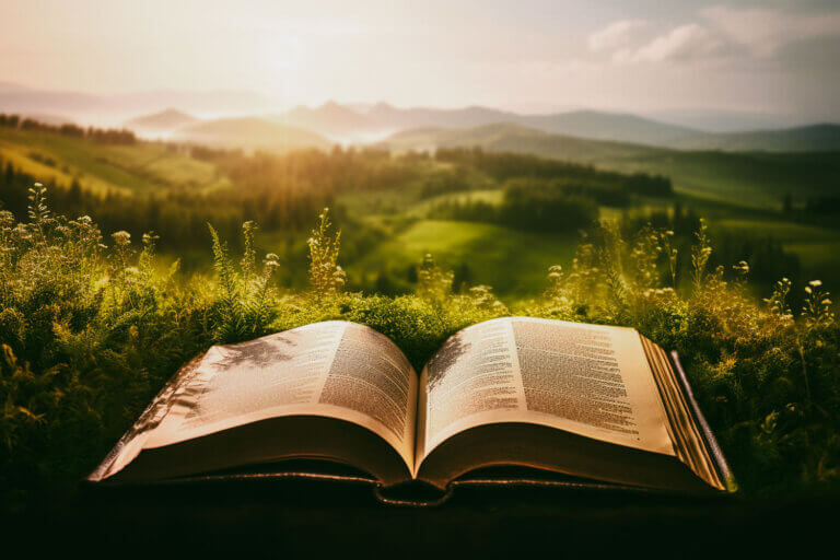 Sustainability - Midas Travel Management - Midas Travel Management Sustainability Terminology