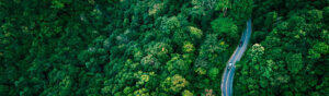 aerial view of a winding road cutting through dense green forest with a few cars traveling along it in daytime