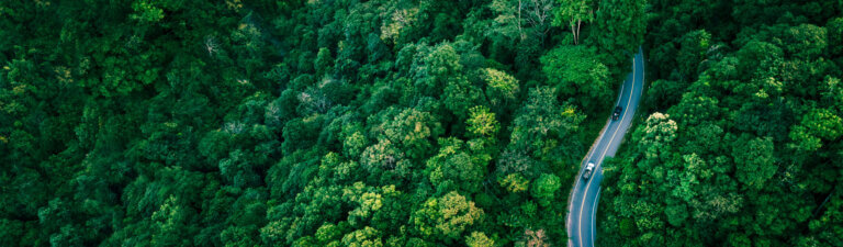 aerial view of a winding road cutting through dense green forest with a few cars traveling along it in daytime