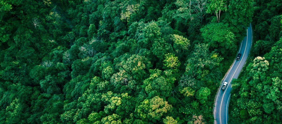Aerial view of a winding road cutting through dense green forest with a few cars traveling along it in daytime.